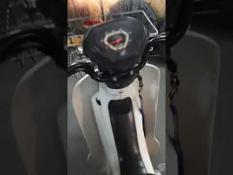 Видео: 19 октября 2022 г.