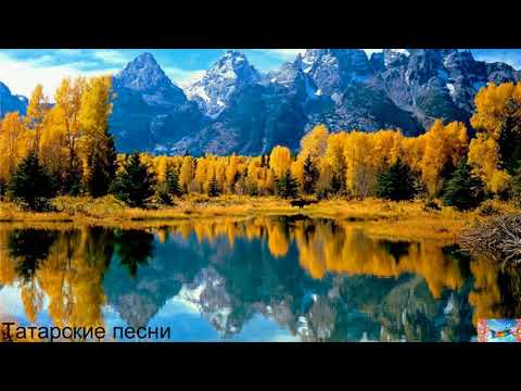 Видео: Татарские песни 5