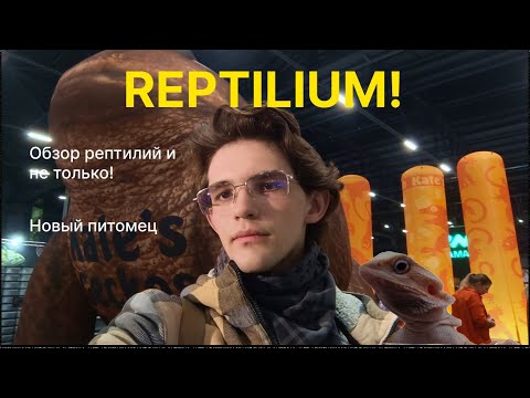 Видео: МОЙ ПЕРВЫЙ РЕПТИЛИУМ! / Обзор маркета / Мои мысли / Покупка нового питомца!
