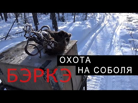 Видео: (Полная версия) БЭРКЭ. ГУМАННЫЙ КАПКАН НА СОБОЛЯ. ПРОВЕРЯЕМ ПУТИК. СЕЗОН 2022.