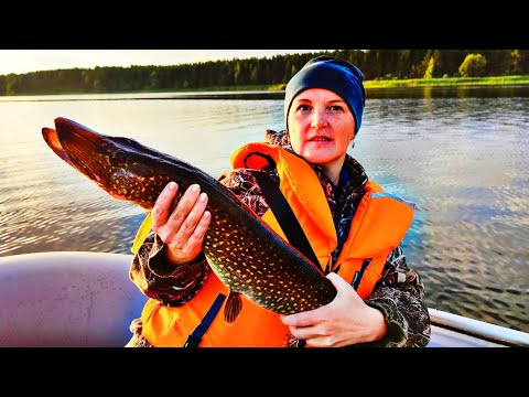 Видео: Рыбалка с женой с ночёвкой!!!  3 ДНЯ В ГЛУШИ! Она меня обловила!  Рыбалка на спиннинг.  Часть 1