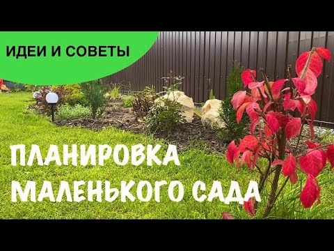 Видео: 🍀ПЛАНИРОВКА МАЛЕНЬКОГО САДА| Прогулка по саду в октябре| Камни в саду⛰️