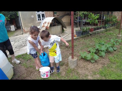 Видео: ЖИВОТ НА СЕЛО  :  Как премина дъждовната седмица   с Ая и Алекс  / LINE D5