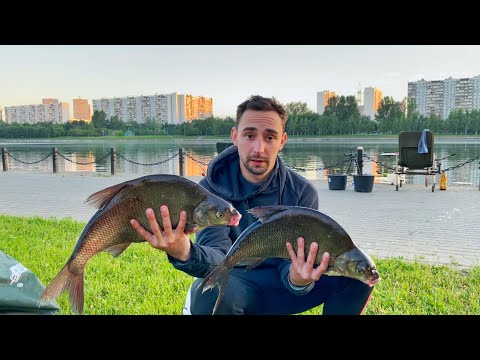 Видео: СНОВА ОГРОМНЫЕ ЛЕЩИ. РАБОТА НАД ОШИБКАМИ