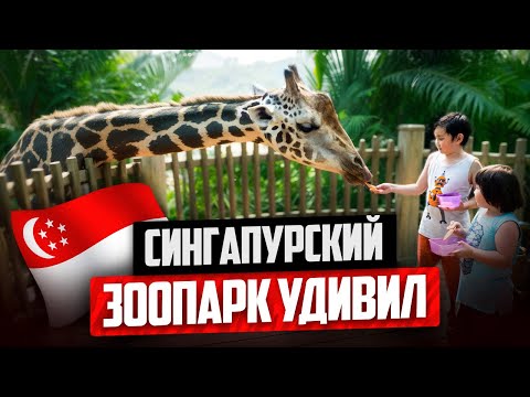 Видео: Лучший зоопарк в Мире. Что посмотреть в Singapore Zoo?