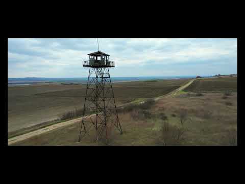 Видео: На граничната бразда с.Пашово #граница#застава #гранична бразда#