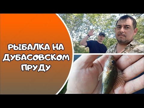Видео: РЫБАЛКА НА ДУБАСОВСКОМ ПРУДУ