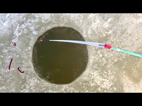 Видео: ПЕРВЫЙ ЛЁД...ЛУПИТ КИВОК! ЗАКИНУЛ и УДАРЫ на РЕКЕ! Зимняя рыбалка 2025