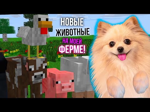 Видео: У НАС ПОПОЛНЕНИЕ! НОВЫЕ ЖИВОТНЫЕ В МАЙНКРАФТ | MINECRAFT