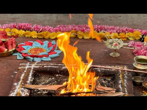 Видео: Медитация Прана Видья с Виной Ачария