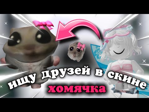 Видео: ИЩУ ДРУЗЕЙ-ТИМЕРОВ В СКИНЕ МИЛОГО ХОМЯЧКА 🐹🎀😱