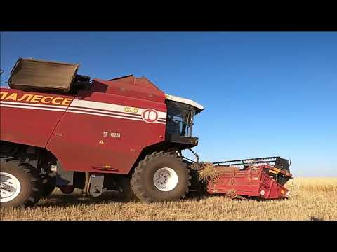 Видео: Уборочная 2020 Акрос 550, Палессе gs10, Палессе GS812, Кирюша к424, МТЗ1221, ХТЗ 17221, МТЗ 82, 80