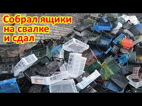 Видео: Сколько можно заработать на пластмассовых ящиках