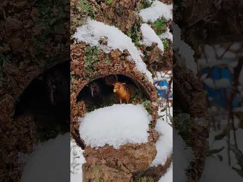 Видео: 13 октября 2025 г.