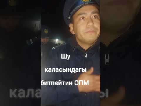 Видео: 6 ноября 2025 г.