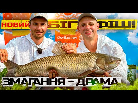 Видео: Котушки просто димлять від голодних коропів і амурів!