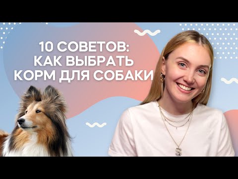 Видео: Как выбрать корм для собаки? / Саша знает