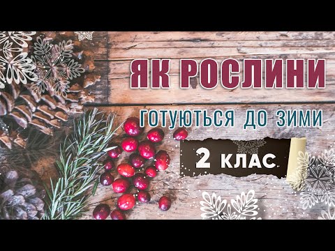 Видео: 🍂Як рослини готуються до зими - Я досліджую світ - Природознавство