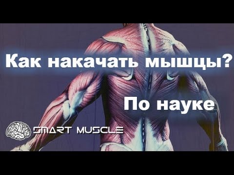Видео: Как накачать мышцы. научный подход