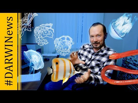 Видео: Сухопутная рыба, сумеречная зона, робот-оригами, самая редкая награда. Игорь Фадеев. #DARWINews