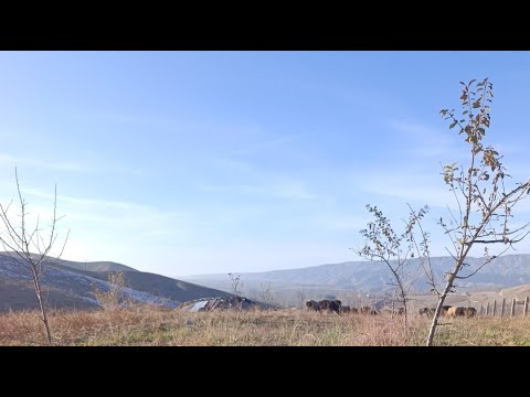 Видео: Ассаломуалекум Кыргызстан
