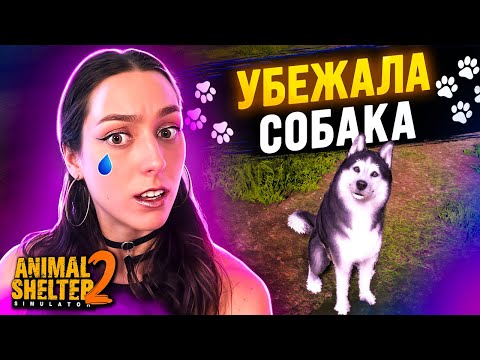 Видео: Я ПОТЕРЯЛА СОБАКУ ➤ Animal Shelter 2 | ОБЗОР ИГРЫ
