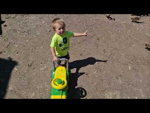 Видео: выпустили  и этих)