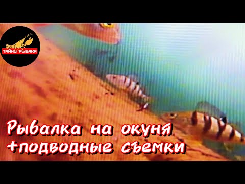 Видео: Рыбалка на Лыткаринском карьере и Токарёвском озере.