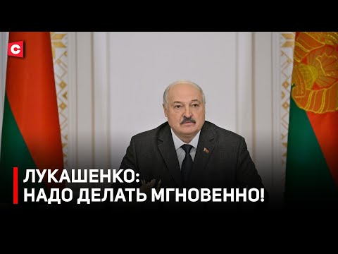 Видео: Лукашенко про обещание полешукам | Как собираются развивать Полесье?