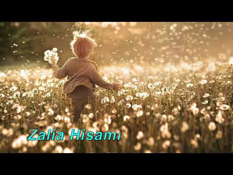 Видео: 23 Кем бэхетле дөньяда?