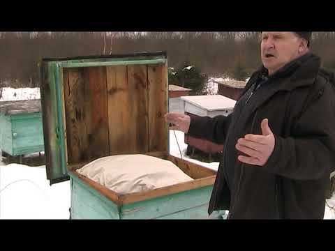 Видео: ПЧЕЛОВОДЫ СДЕЛАЙТЕ ЭТО И СПИТЕ СПОКОЙНО.