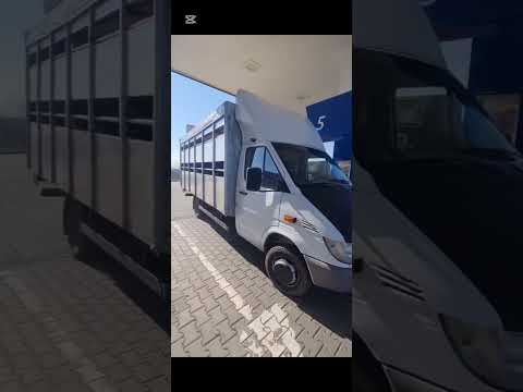 Видео: За кольо румънеца и неговата съпруга/ 🇷🇴New hit/2025 za Rumaneca🇷🇴