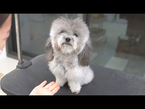 Видео: Держи меня за руку!