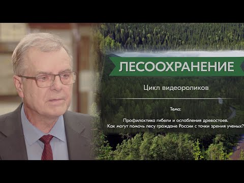 Видео: Селиховкин А. В.: защита леса – это..? Основные проблемы в области защиты лесов? «Лесоохранение»