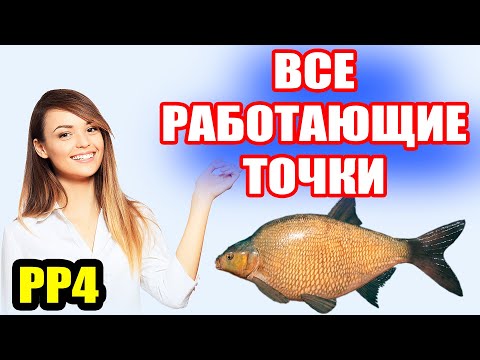 Видео: Большая ПРОВЕРКА точек на ЛЕЩА на оз. Острог● Русская Рыбалка 4 | РР4