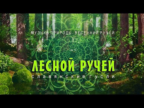 Видео: Лесной ручей и волшебные гусли слушать 30 минут 🍀 Целительная музыка для сна и отдыха