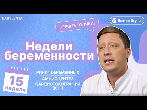 Видео: 15 неделя беременности - как выглядит ребенок, УЗИ, что происходит с малышом и мамой, ощущения