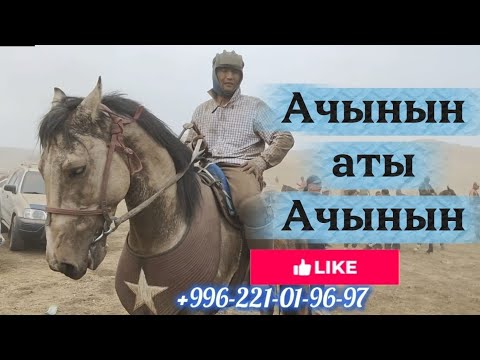 Видео: Ачынын аты Ачыда