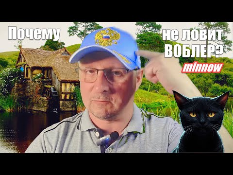 Видео: Почему не ловит воблер?  #artdon_fishing,  #twitching