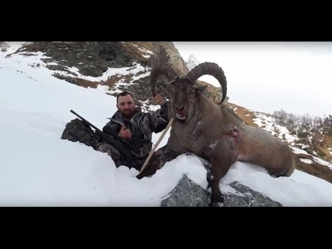 Видео: Охота в Карачаево  - Черкесия 2016
