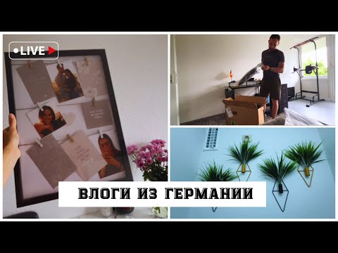 Видео: Обустраиваем нашу КВАРТИРУ в Германии• ОБЗОР товаров для дома с Temu и Aktion🛍️• ПОЗДНИЕ ПЕРЕСЕЛЕНЦЫ