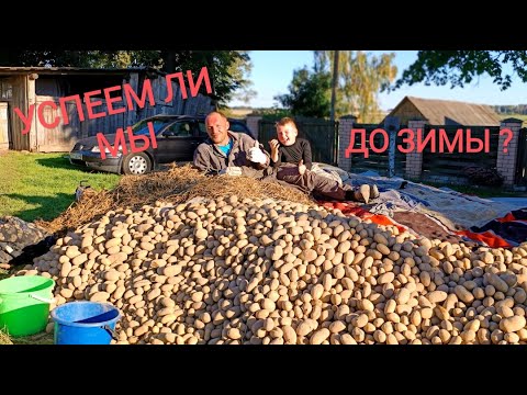 Видео: Вся молодость проходит в работе. Урожай картошки, что не поднять головы