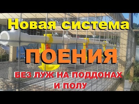 Видео: Новая система поения без бактерий и луж