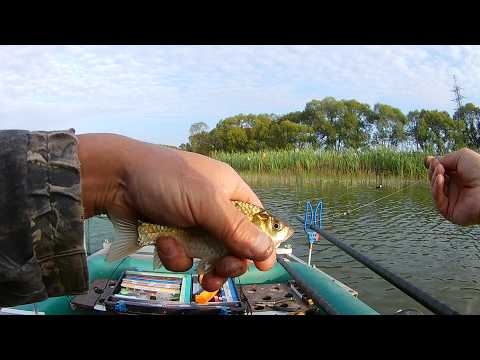 Видео: Рыбалка на КАРАСЯ на поплавок