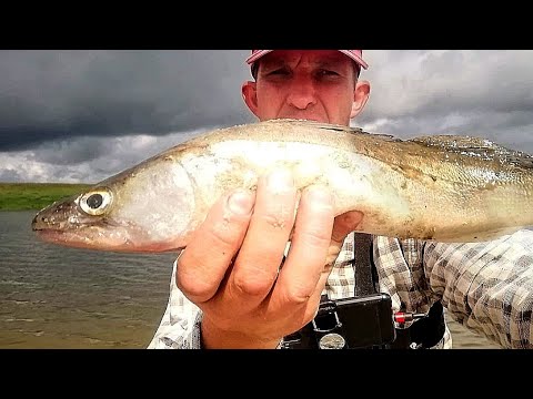 Видео: РЫБАЛКА ПАВЛОВО ОКА СУДАК ОКУНЯ