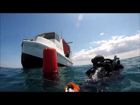 Видео: ДАЙВИНГ В ОТКРЫТОМ МОРЕ! СБОР РАПАНА! ОТКРЫВАЮ СЕКРЕТ, КОТОРЫЙ ХРАНИЛСЯ В ТАЙНЕ ДОЛГИЕ ГОДЫ!