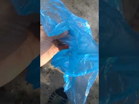 Видео: Как быстро укоренить не укоренившиеся розетки на усах клубники