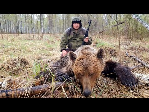 Видео: Охота на Медведя