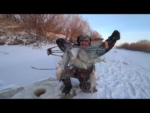 Видео: Пришлось выдалбливать лунки, что бы вытащить их. Хапуги полные рыбы. Рыбалка в Сибири.