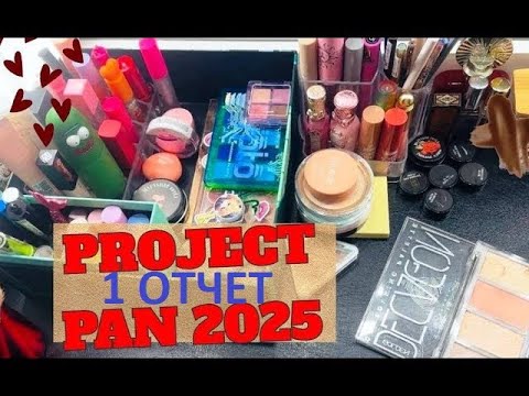 Видео: PROJECT PAN 2025 - 1 ОТЧЕТ (Прошло 6 месяцев...)
